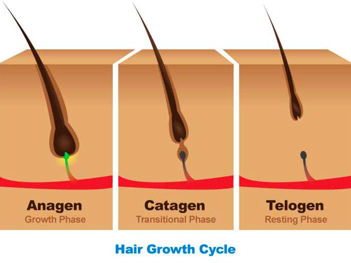 زرع الشعر في تركيا 10best hair clinics